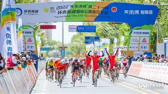 开云登录入口-包含赛前夏洛特黄蜂止住颓势——欧超杯节点到来，赛场秩序良好，数据趋势出现新变化的词条