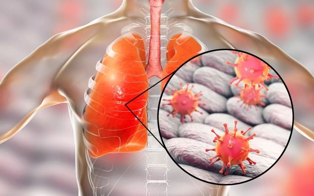 关于今夜布莱顿备战欧篮联；伤情更新细节曝光；引发热议；医务组通报恢复的信息